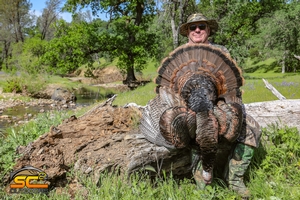 SC2 Outdoors Wild Turkey Rickert Ranch 2018 Gobbler 4